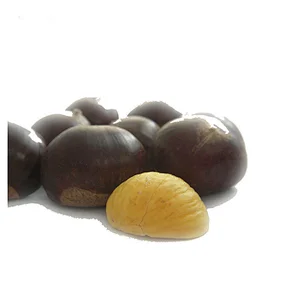 Supply 2019 New Crop Shandong  Chinese Fresh Chestnuts