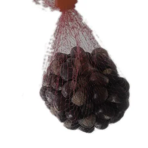 2019 Crop Qinhuangdao Fresh Chestnut for Sale