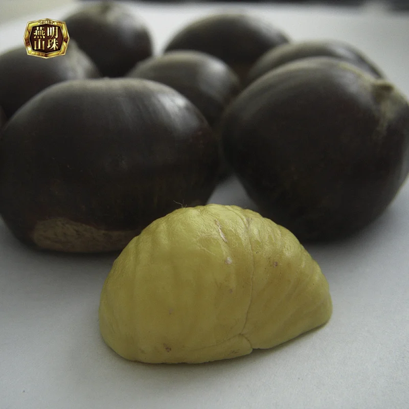 Supply Organic Fresh Chinese Chestnuts for Sale
