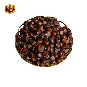 2019 New Crop Organic Yanshan Fresh Raw Chestnut Bulk Nuts