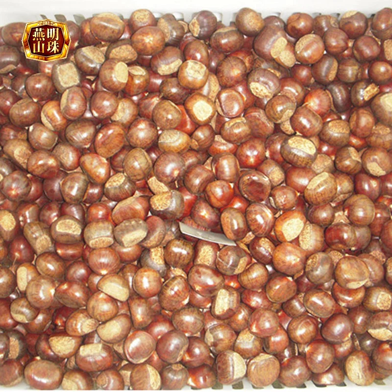 2019 New Crop Hebei Origin Chinese Harvesting Fresh Chestnuts