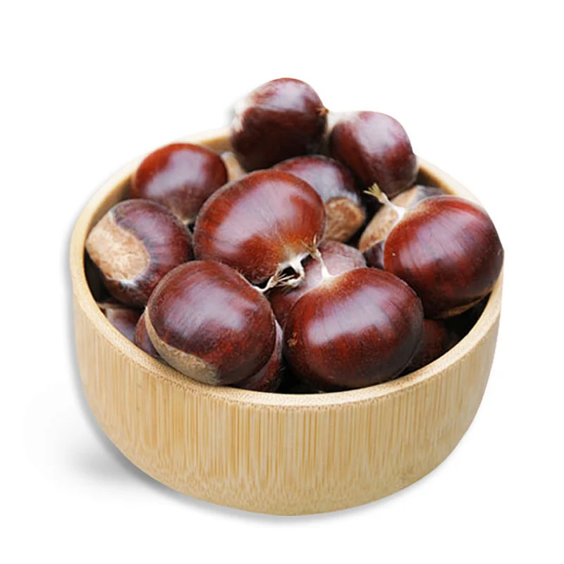 Raw Yanshan Fresh Chinese Chestnut Nut for Sale