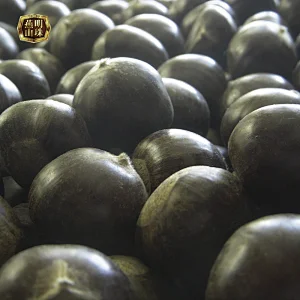 Chinese Yanshan Fresh Chestnut with Double Gunngy Bag