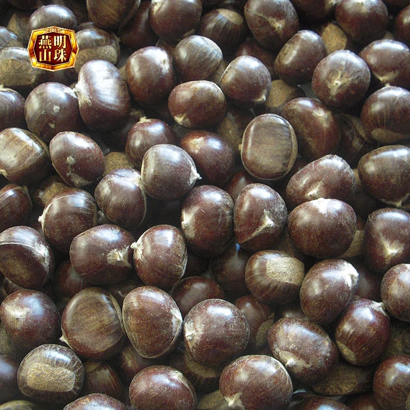 2019 New Crop Fresh Raw Bulk Chestnut Nuts from Yanshan Mountains