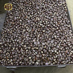 2019 New Crop Chinese Harvesting Supply Fresh Chestnuts