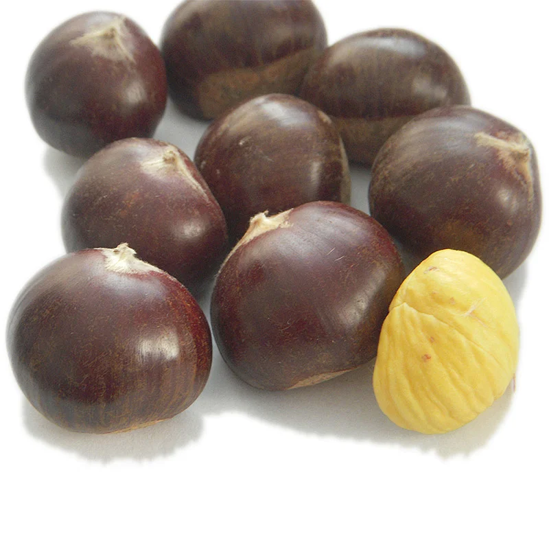 2019 New Crop Bulk Natural Fresh Chinese Yanshan Raw Chestnut Nuts for Sale