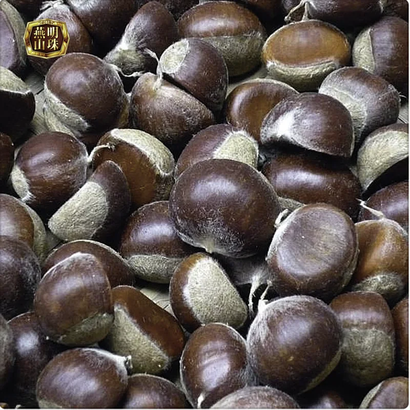 Supply 2019 New Crop Zunhua Grade AL Fresh Chestnuts
