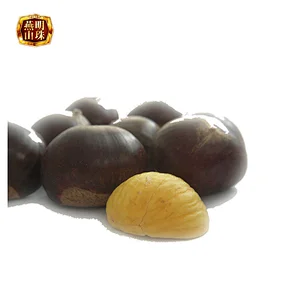 2019 New Crop Chinese Yanshan Fresh Chestnut Raw Material for Dried Chestnuts