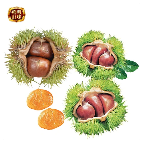 Supply Organic Fresh Chinese Chestnuts for Sale