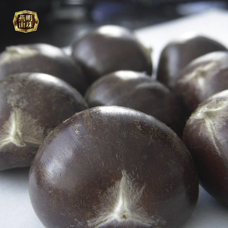 2019 New Crop Fresh Raw Bulk Chestnut Nuts from Yanshan Mountains