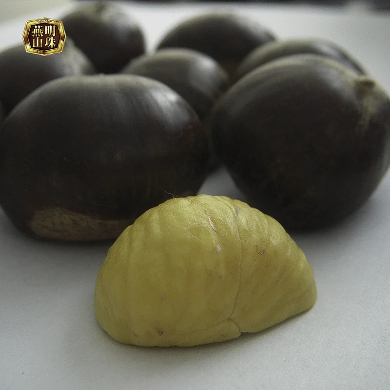 Organic Fresh Chinese Chestnut Nuts with Bright Color