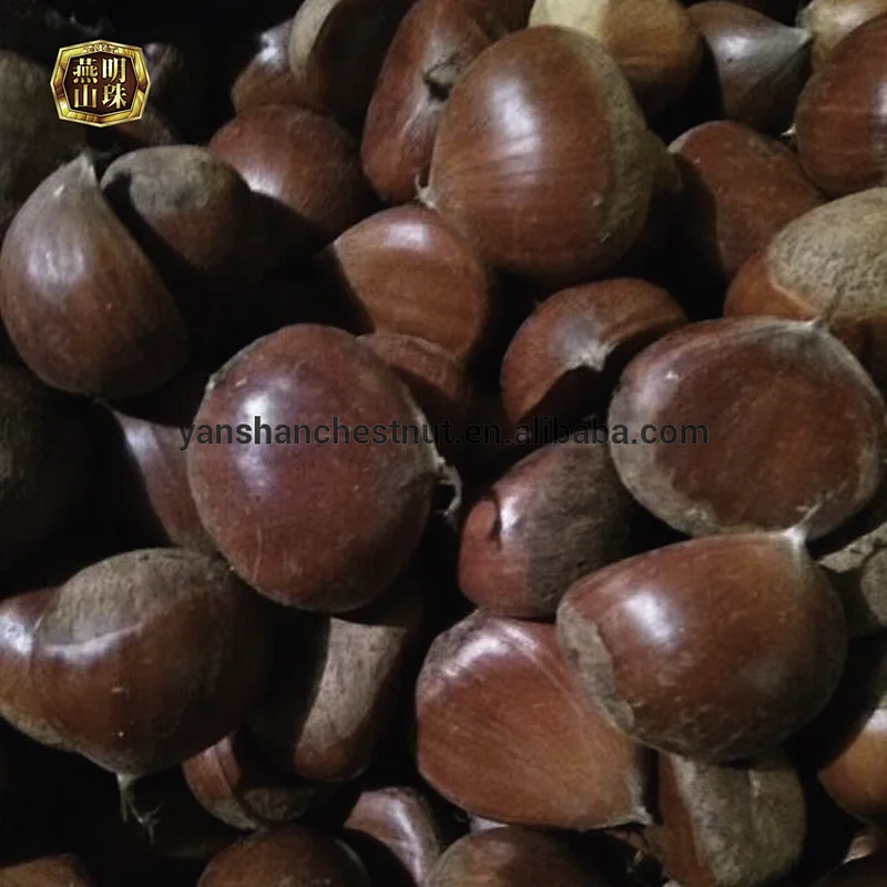 2019 New Crop Hot Sale Bulk Organic Fresh Chinese Chestnuts Nuts Kernels