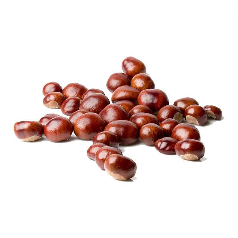 Chinese Organic Fresh Raw Chestnuts for Sale
