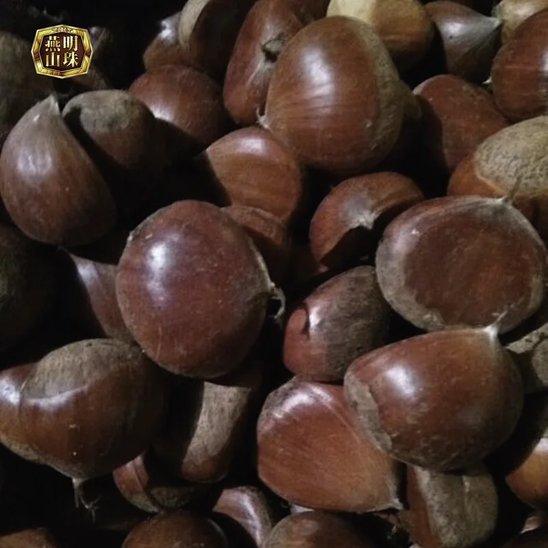 2019 New Crop Sweet Organic Hebei Origin Fresh Chestnuts