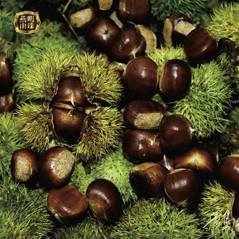 2019 Best Quality Organic Chinese Fresh Raw Chestnut Export