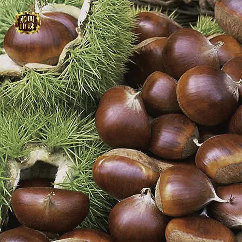 2019 New Crop Organic Yanshan Fresh Bulk Chestnut Nuts