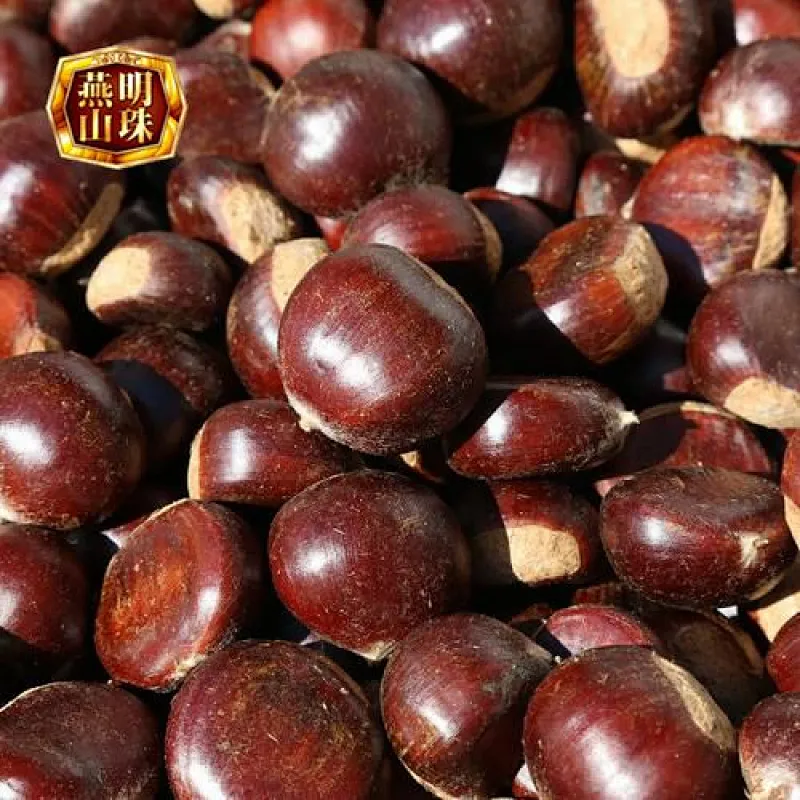 Supply 2019 New Crop  Chinese Organic Fresh Chestnuts Grade AL AM