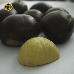 2019 Hot Sale Organic Chinese Gunny Bag Fresh Chestnut for Sale