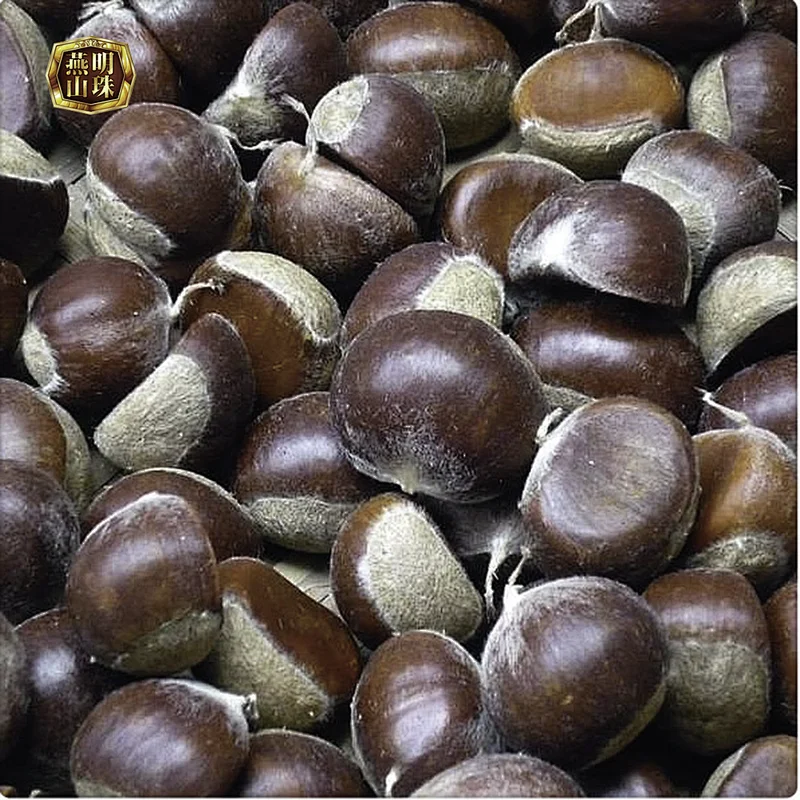 2019 New Organic Sweet Yanshan Fresh Chestnut from China with Double Gunngy Bag