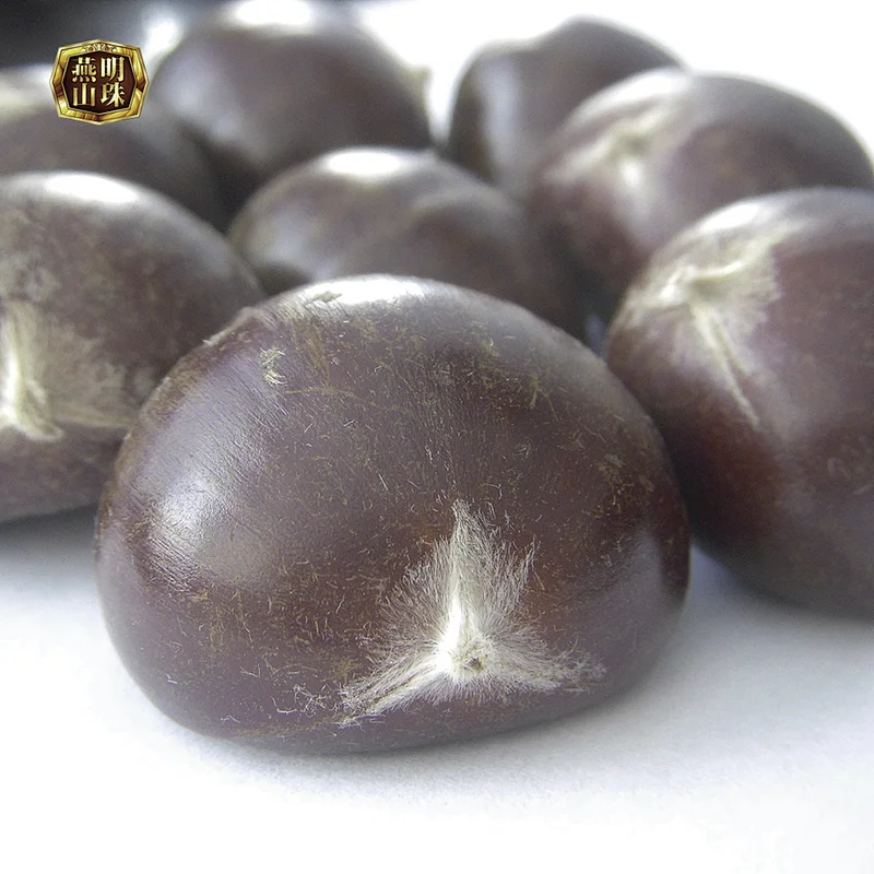 2019 Best Organic Chinese Fresh Raw Chestnuts - Raw Material of Roasted Peeled Chestnuts - for Sale