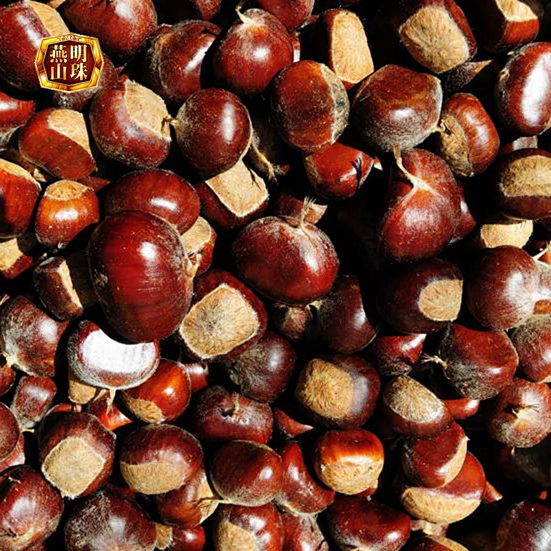2019 New Crop Natural Sweet Yanshan Hebei Origin Harvesting Fresh Chestnuts