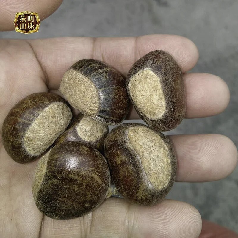 Fresh Sweet Yanshan Organic Chestnut With Shell