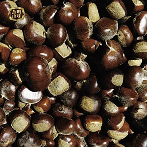 2019 New Crop Organic Yanshan Fresh Raw Chestnut Bulk Nuts