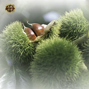 2019 Bulk Chinese Yanshan Grade AL Fresh Raw Chestnuts Wholesale