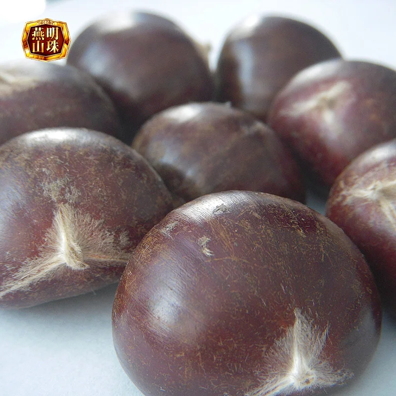 Chinese Yanshan Fresh Chestnut with Double Gunngy Bag