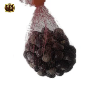 Chinese Raw Organic Top Value Fresh  Chestnuts for Sale