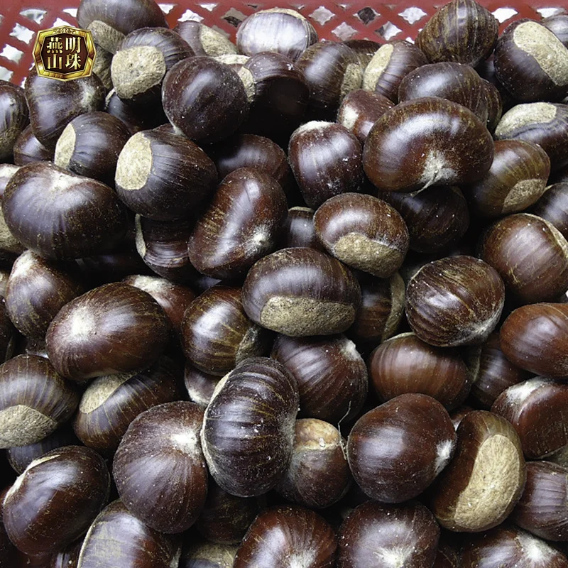 2019 New Crop Bulk Natural Chinese Fresh Best Delicious Chestnut