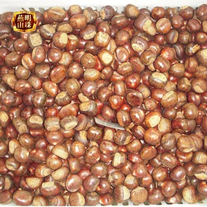 2019 Chinese Yanshan Grade AL Fresh Raw Chestnuts Wholesale