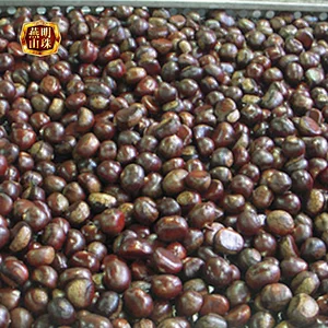 2019 New Crop Natural Sweet Best Hebei Origin Fresh Chestnuts