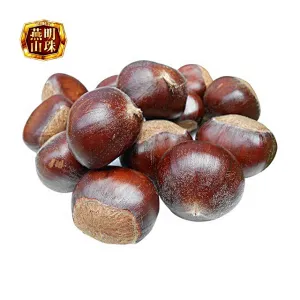 Supply 2019 New Crop  Chinese Organic Fresh Chestnuts Grade AL AM