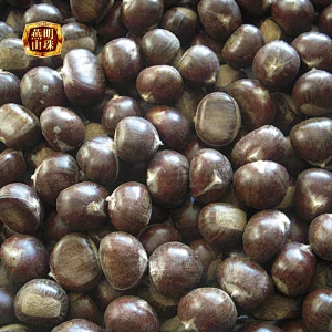 2019 New Crop Sweet Fresh Chinese Big Chestnuts