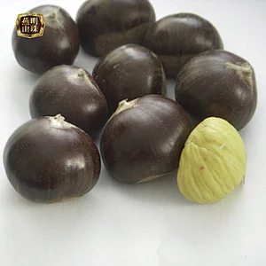 2019 New Crop Yanshan Raw Fresh Chestnut Nuts