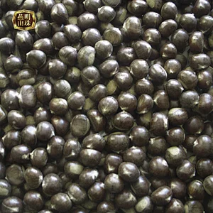 2019 New Crop Fresh Raw Bulk Chestnut Nuts from Yanshan Mountains