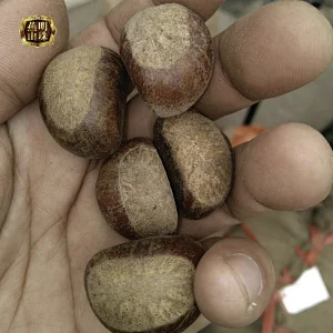 Best Sale Yanshan Fresh Chinese Chestnut Nuts with Bright Color