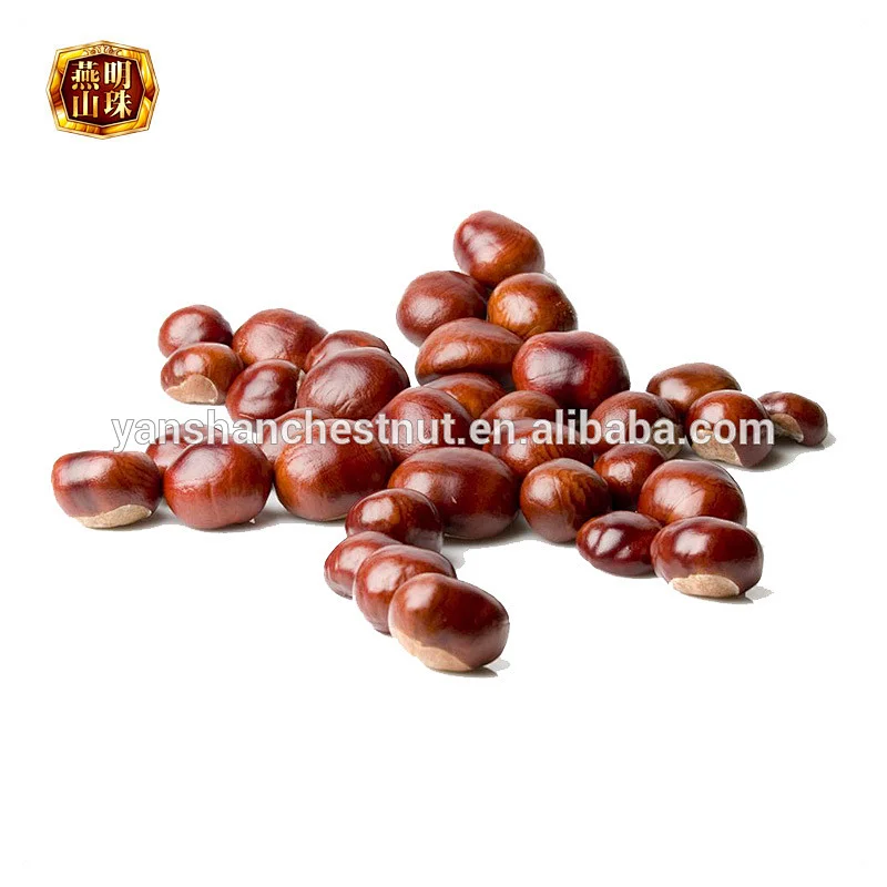 2019 High Quality Fresh Raw Yanshan Chinese Chestnuts for Sale