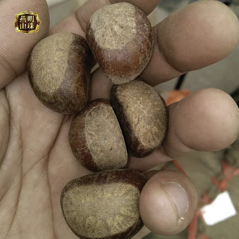 2019 New Crop Sweet Organic Harvesting Fresh Chestnuts