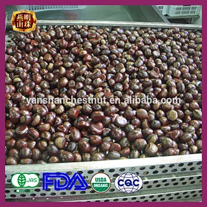 Hot Sale Sweet Yanshan Fresh Chestnut from China