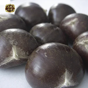 2019 Fresh Sweet Chinese Chestnuts for Sale