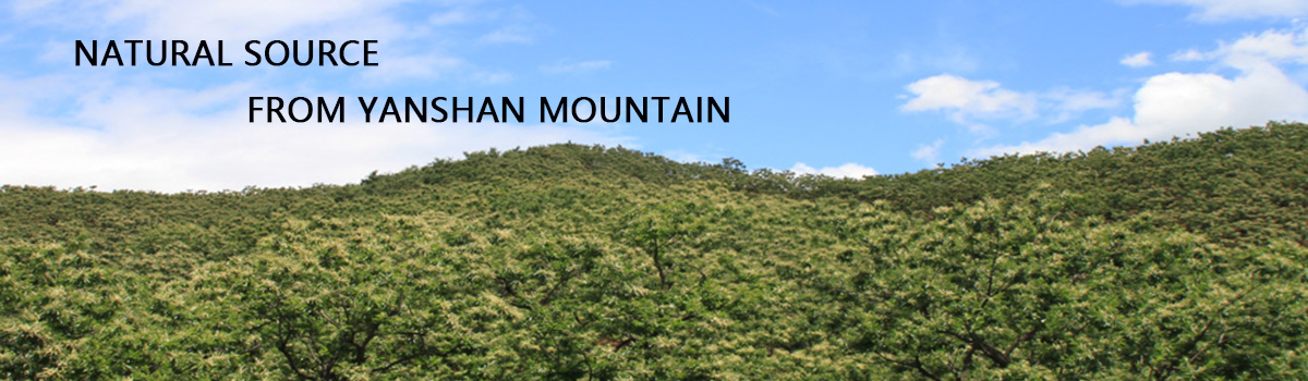 banner.png