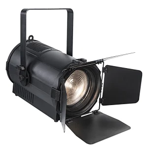 Pioneer 300 zoom