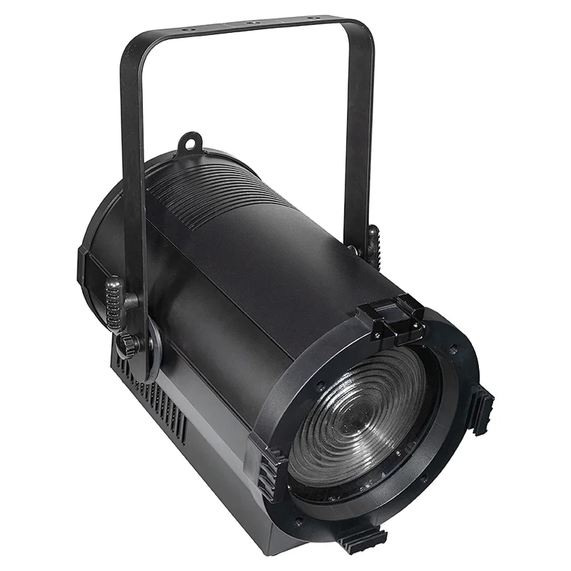 Pioneer 300 zoom