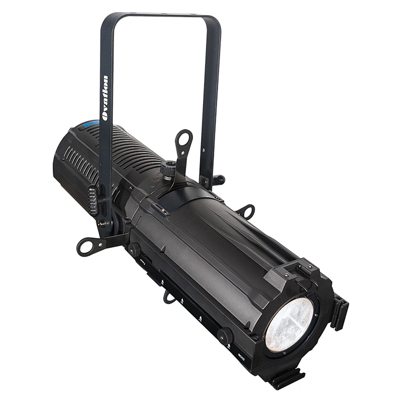 Zoom de honor 300