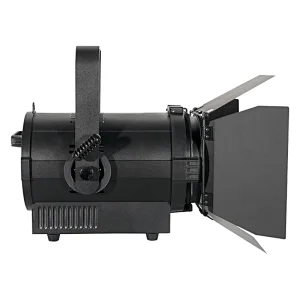 Pioneer 100 Zoom