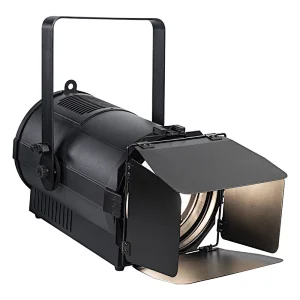 Pioneer 300 zoom