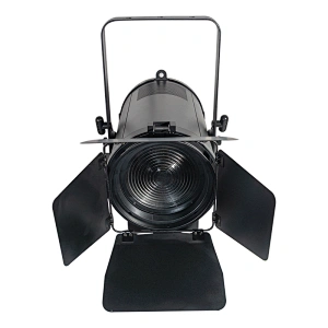 Zoom pionero 300