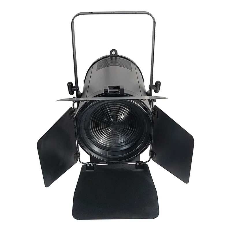Pioneer 300 zoom